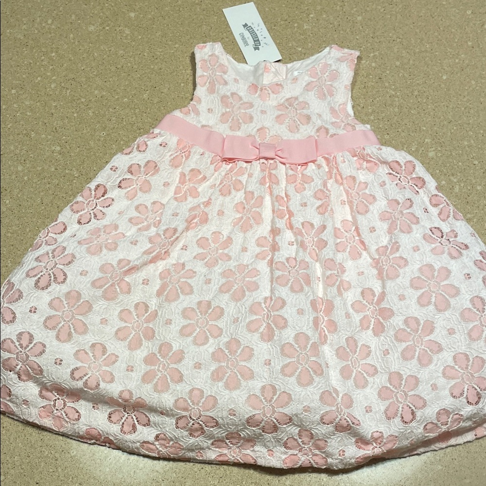 Gymboree Pink and White Floral Lace Dress